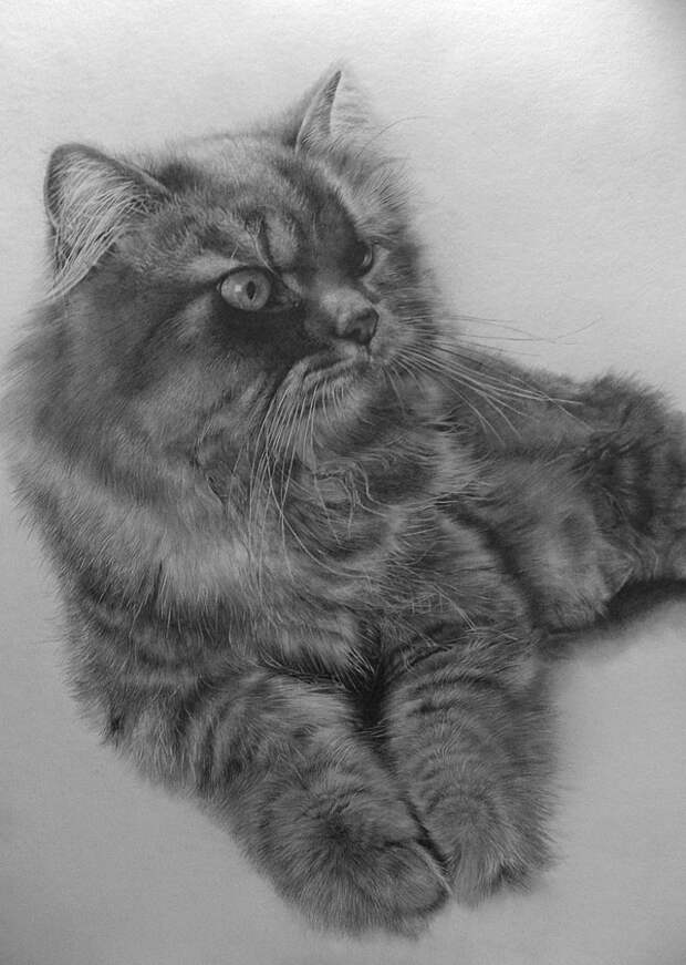 Рисунки карандашом