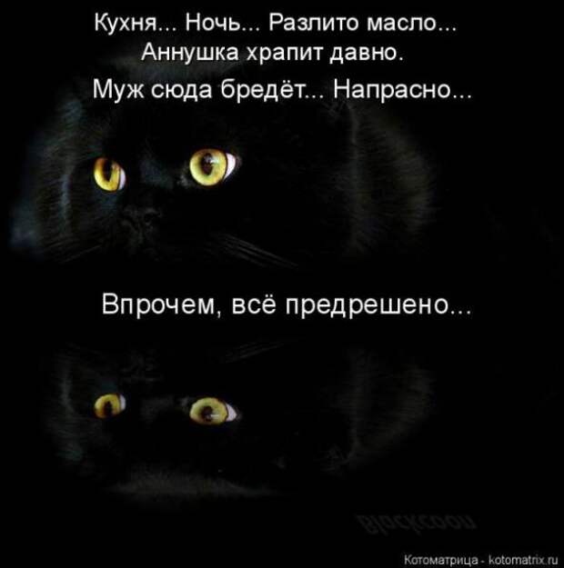 Котоматрицы(картинки с надписями)