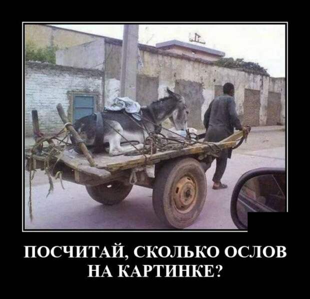 demotivatory-demotivator-smeshnye-demotivatory-demotivator-so-smyslom