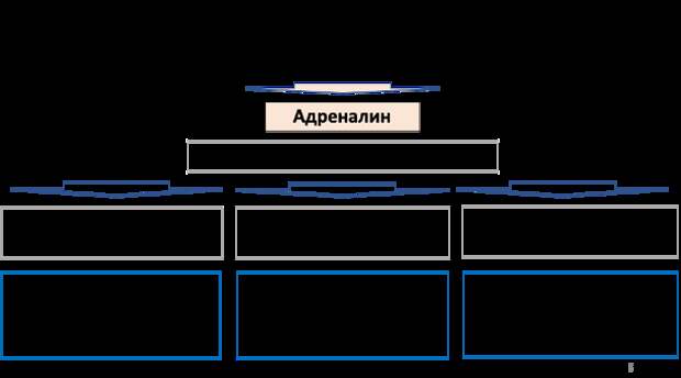 Механизм реализации реакции «бей или беги»