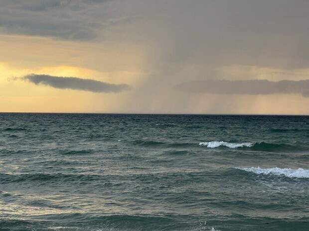 Учёный: разлив 4000 тонн мазута в Керченском проливе — значительная экологическая катастрофа, последствия которой могут ощущаться годами