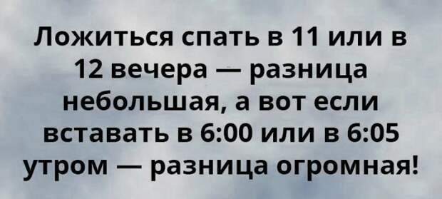20 Открыток С Неподражаемым Сарказмом