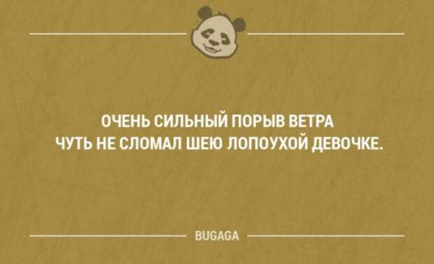 Прикольные фразы в картинках с надписями. Часть 61 (17 шт)