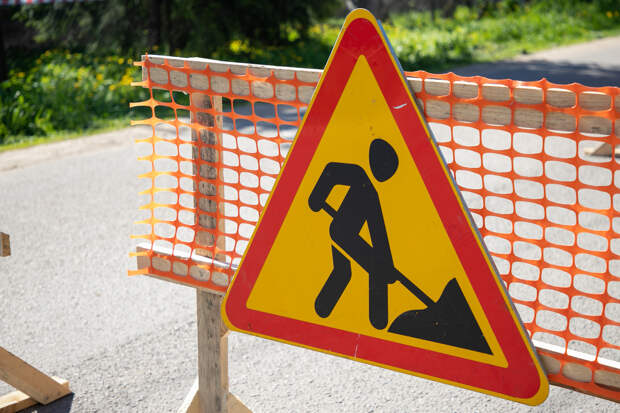 На обрезку деревьев вдоль трасс в Тульской области потратят 20 млн рублей