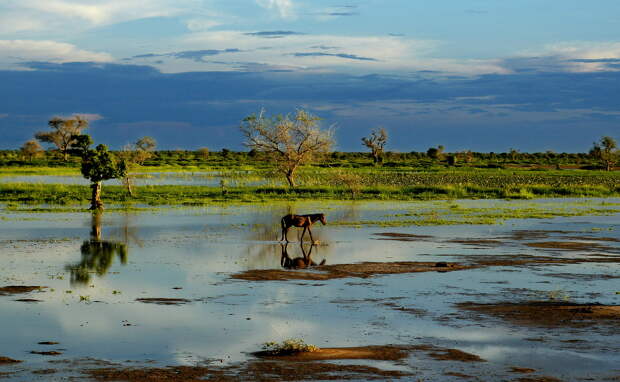 Вернувшийся из плена в Мали геолог рассказал о жестоких условиях содержания