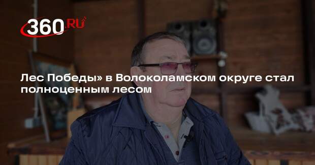 Лес Победы» в Волоколамском округе стал полноценным лесом