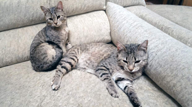 Никого лишнего