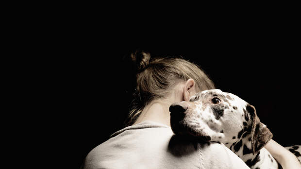 Кинолог Голубев пояснил, какие вещи помогают в поиске потерявшейся собаки