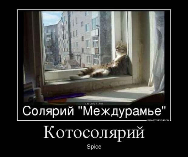 Демотиваторы они опять с нашими комментариями.