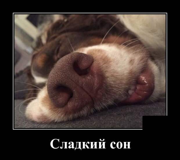Демотиваторы (30 фото)
