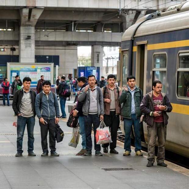 В Забайкалье выявлен рост паразитарных заболеваний среди трудовых мигрантов