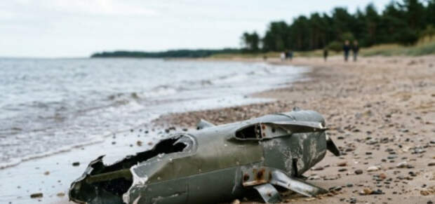 Крапивник: Эстония – идеальный кандидат на получение по башке