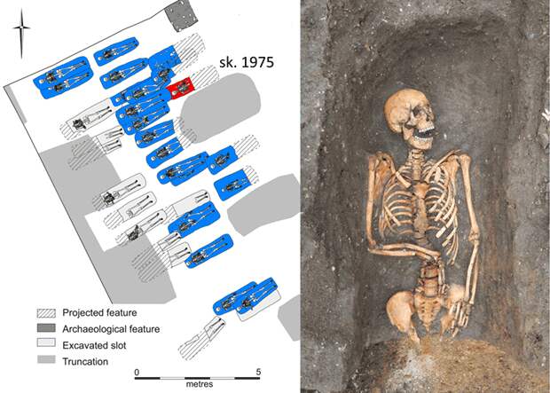 Древнюю ДНК возбудителя чумы нашли на средневековых кладбищах Англии