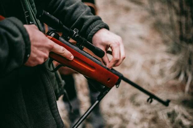 В Ярославской области из-за 70-и нарушений усилили контроль за соблюдением правил охоты