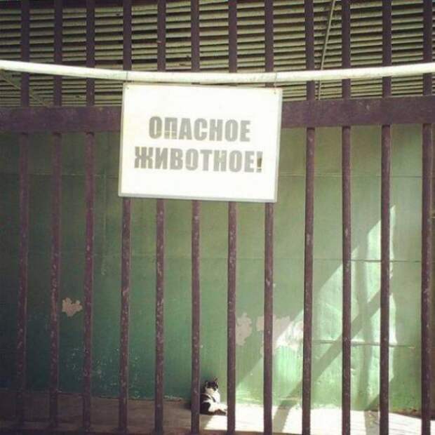 Народные надписи