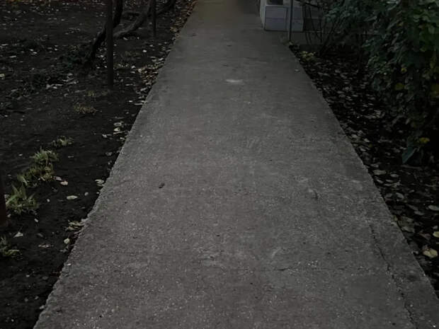 Выкиньте асфальт на свалку: дачники перешли на этот материал — руки не марает, стоит копейки, не трескается