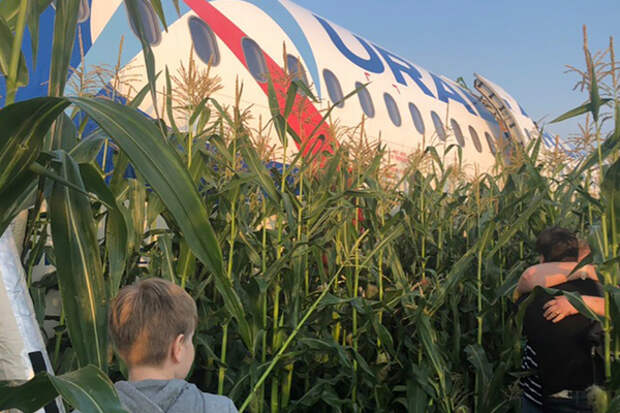 Московская область. Пассажиры у самолета Airbus A321 авиакомпании "Уральские авиалинии", который совершил аварийную посадку в районе аэропорта Жуковский после возгорания двигателя при взлете.