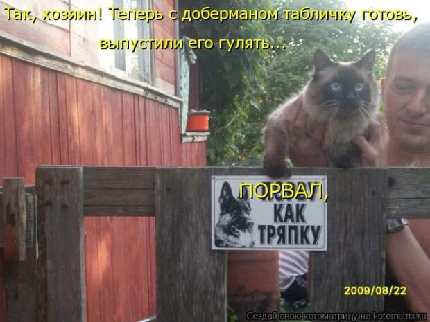 Лучшие котоматрицы недели Лучшие котоматрицы недели