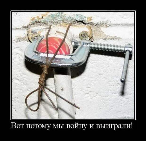 Смешные картинки, демотиваторы дня