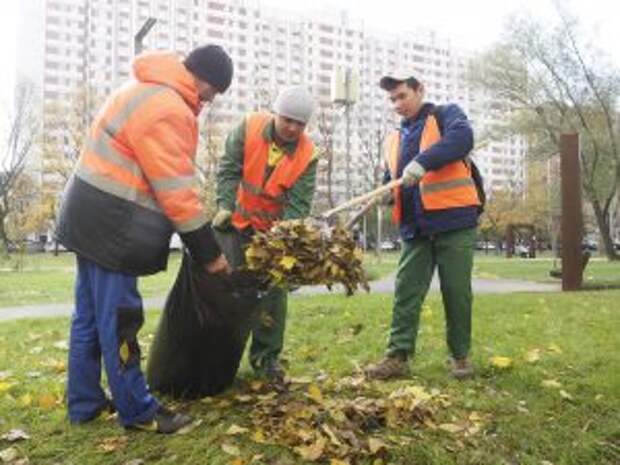 Сотрудники «Жилищника» провели уборку дворовых территорий в районе. Фото: Антон Гердо, «Вечерняя Москва»