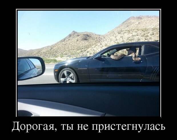 Демотиваторы, создавай прикольное настроение.