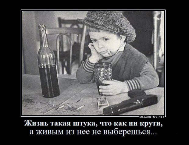 ДЕМОТИВАТОРЫ 13.09.2014