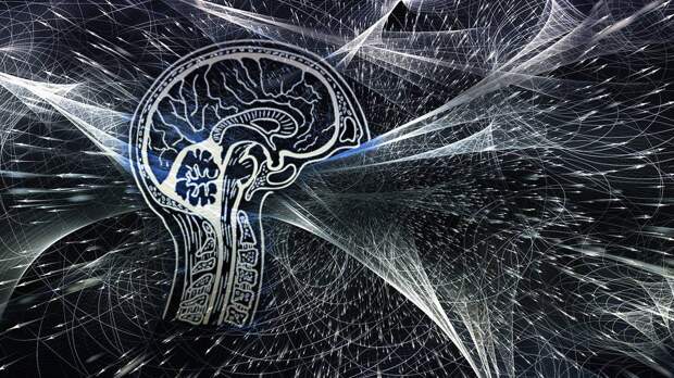 Психолог Кольцова предупредила об опасности чат-ботов в нейросетях