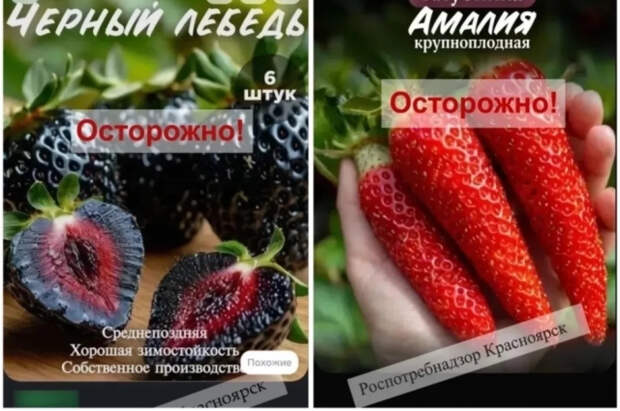 Россиян предупредили о рисках покупки фейковых растений на маркетплейсах