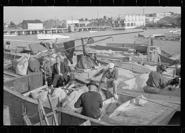 Исторические и редкие фото 46