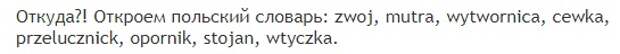ukraina.-kratkaya-istoriya-proekta1