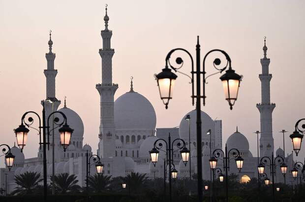 Арабские шейхи попросили украинских специалистов по ПВО уехать из-за неудач