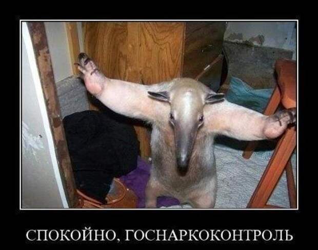 Всяко - разно 21 ))) Всяко - разно 21 )))