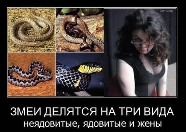 Развесёлые демотиваторы!