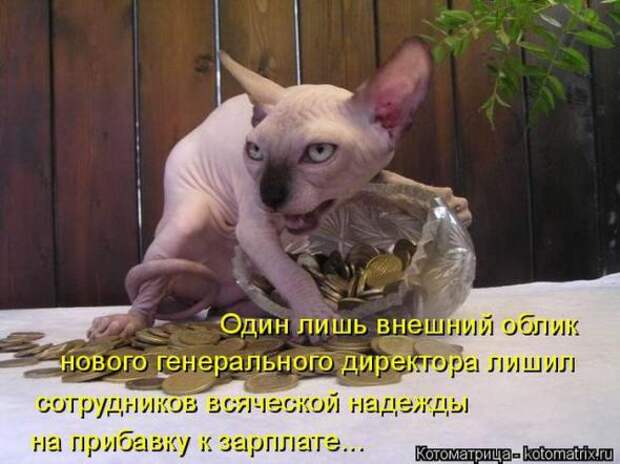 Котоматрицы(картинки с надписями)