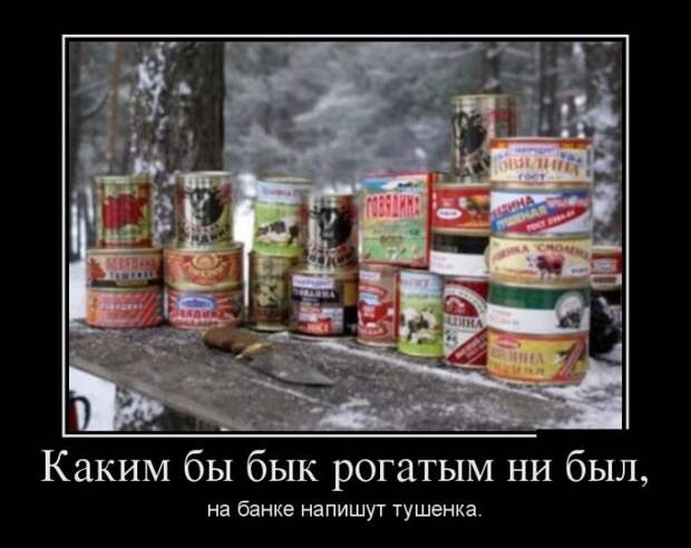 Демотиваторы (30 фото)