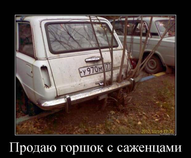 Демотиваторы-приколы для настроения (13 шт)
