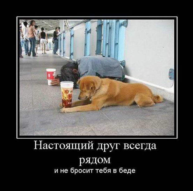 Прикольные демотиваторы
