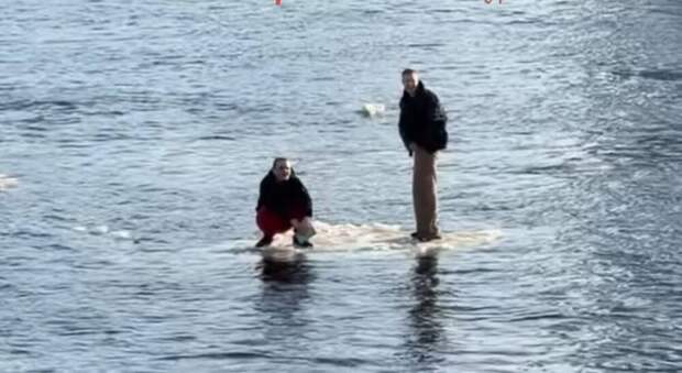 Парни устроили заплыв на льдине