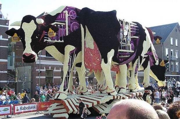 Скульптуры из цветов на параде Bloemencorso Zundert (21 фото)