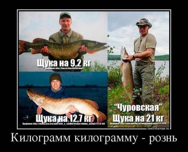 Немного новых демотиваторов