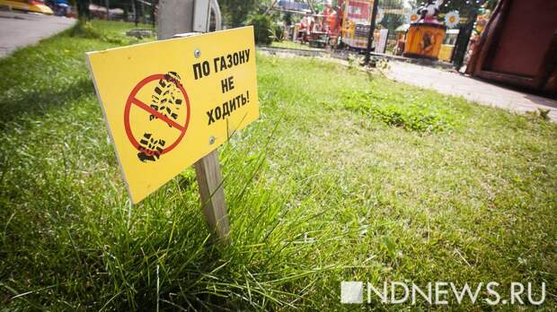 Парк Маяковского закрывается на обработку от клещей