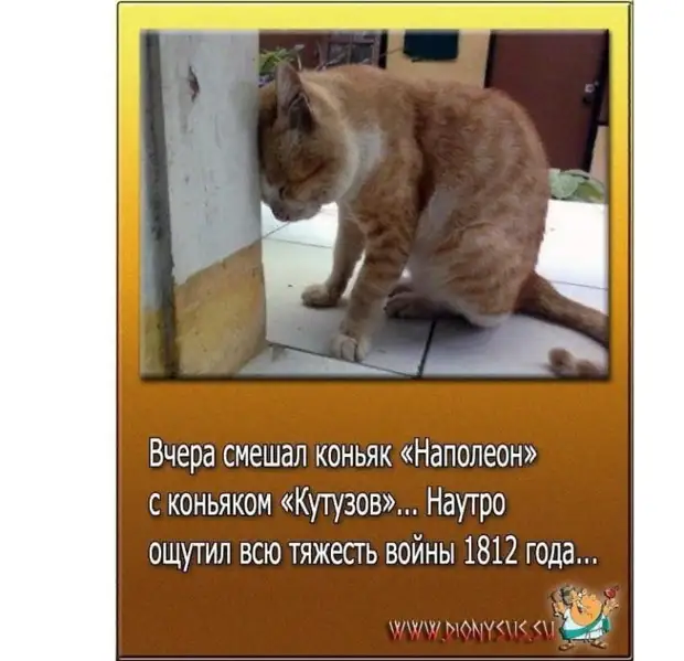 Девушки с татуажем бровей, какую вторую по значимости ошибку в своей жизни вы совершили? Девушки с татуажем бровей, какую вторую по значимости ошибку в своей жизни вы совершили? дальше, известный, написать, порвали, гулять, совсем, кишечный, приятную, ощупьПандемия, самый, страшный, вирусЭто, какойнибудь, новый, когда, вирус, вместо, масок, ходили, памперсах