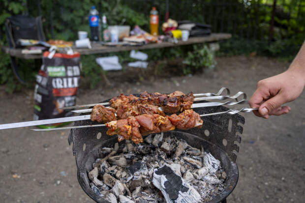 Адвокат Шалуба: за оставленный после шашлыков мусор грозит штраф
