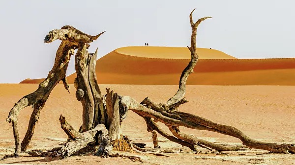 12 лучших кадров с фотоконкурса National Geographic Traveller Photography