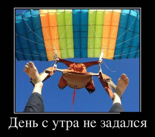 Демотиваторы бревно, демотиваторы, юмор