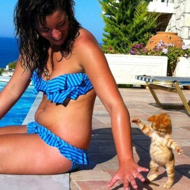 Котики