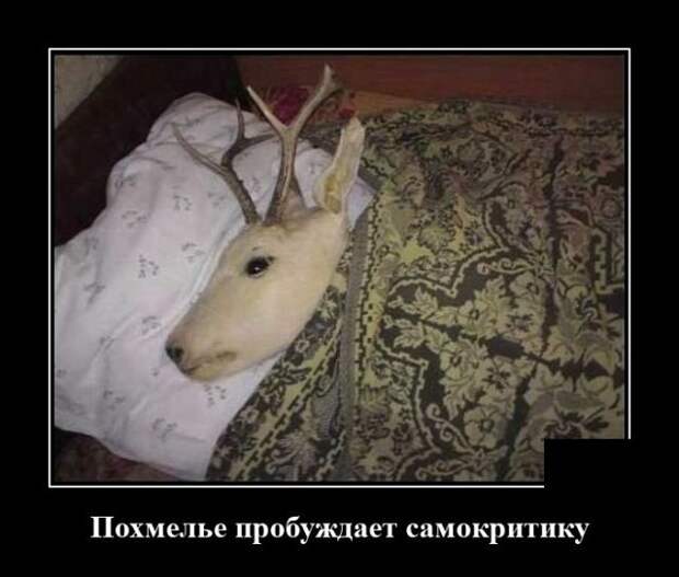 demotivatory-demotivator-smeshnye-demotivatory-demotivator-so-smyslom