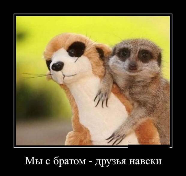 Демотиваторы дня от 4-09-2014