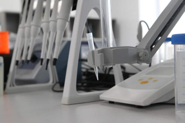 Исследование: Генетическая предрасположенность к полноте повышает риск сосудистой деменции