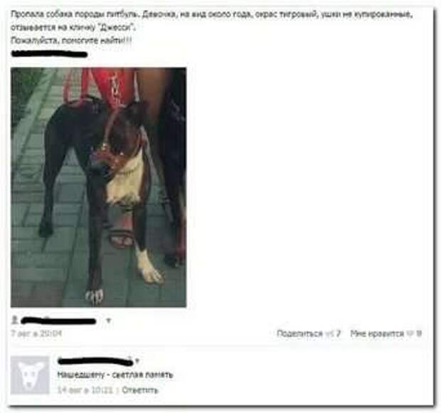 Смешные комментарии. Подборка chert-poberi-kom-chert-poberi-kom-00230303112020-17 картинка chert-poberi-kom-00230303112020-17